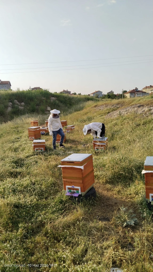 TKİ’den Tavşanlı Köylerine Büyük Destek: Maden Sahalarında Arıcılık Dönemi Başlıyor!