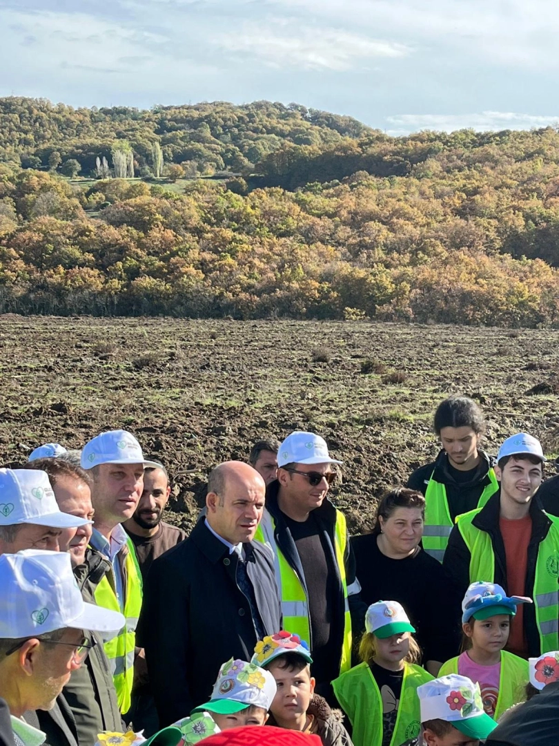 11 KASIM MİLLİ AĞAÇLANDIRMA GÜNÜ